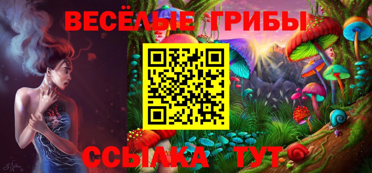 Галлюциногенные грибы прущие грибы Углич