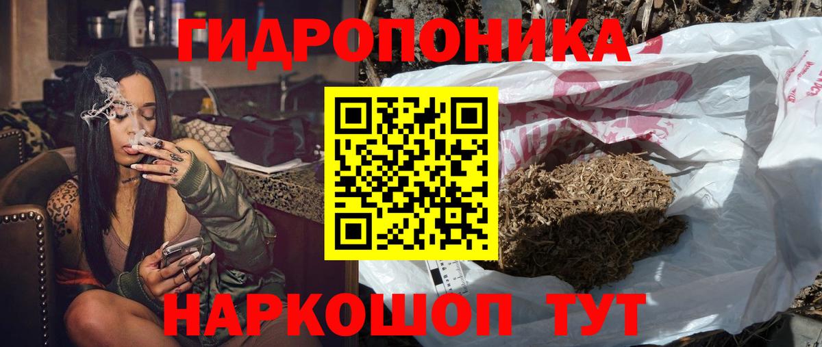 Каннабис планчик  Марихуана конопля  Углич  Каннабис сатива  Вход с VPN  Марихуана Amnesia 